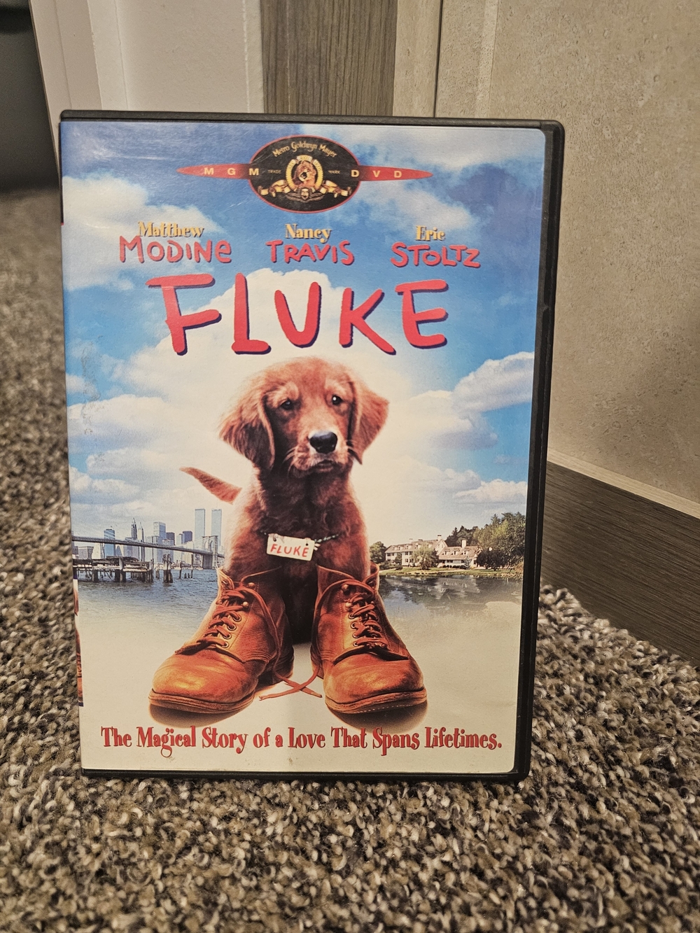 Fluke DVD — Golden Retriever Cover Art (MGM)